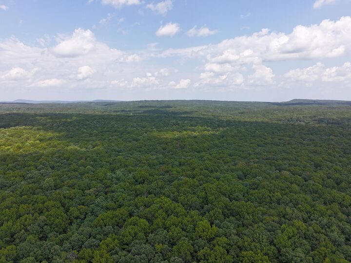 Property Photo:  0 Griff Johnson Road  GA 30731 
