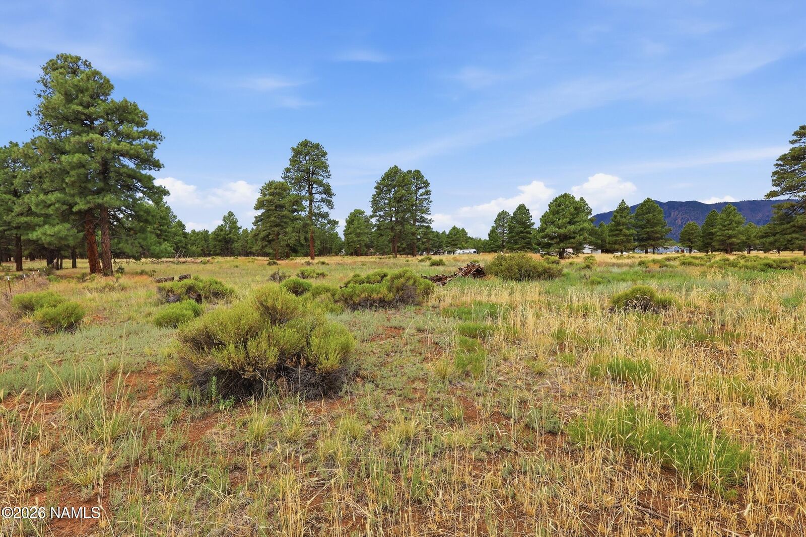 Property Photo: 6314 E Burris Lane AZ 86004