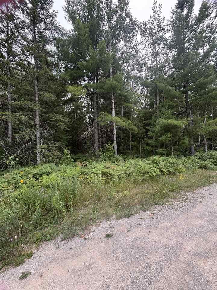 Property Photo:  871 Zipf  MI 49769 