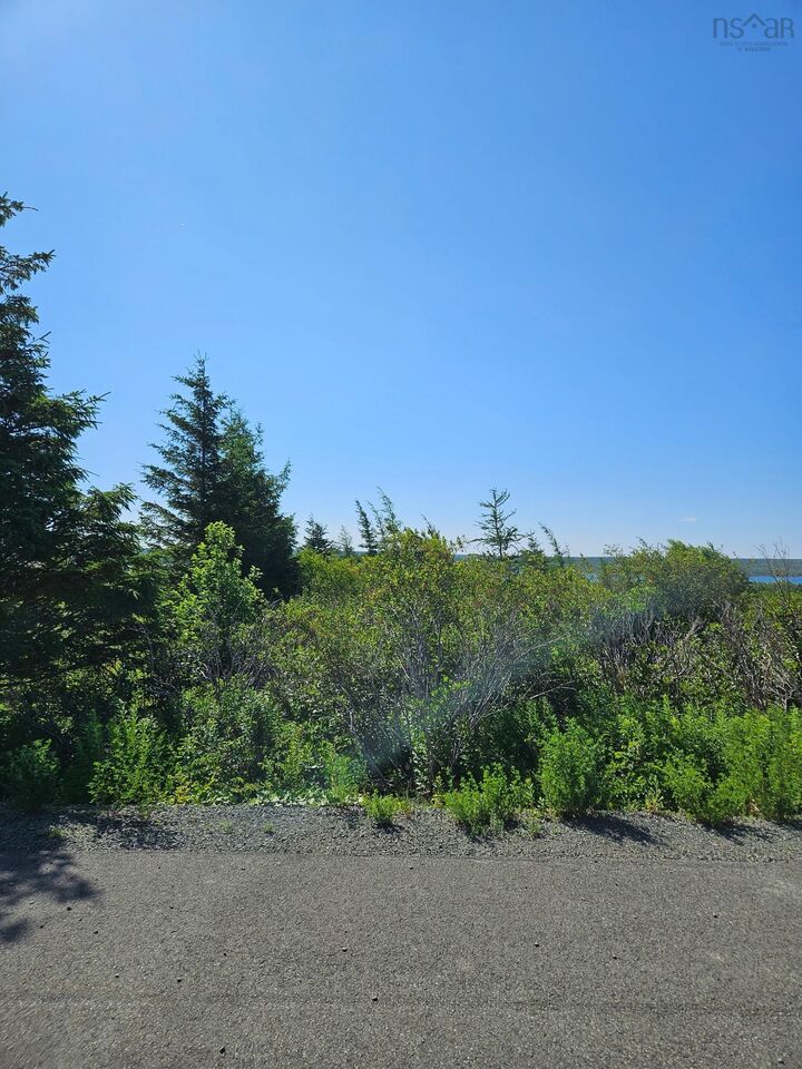 Property Photo:  2026-2 Drew Street  NS B1A 1A6 