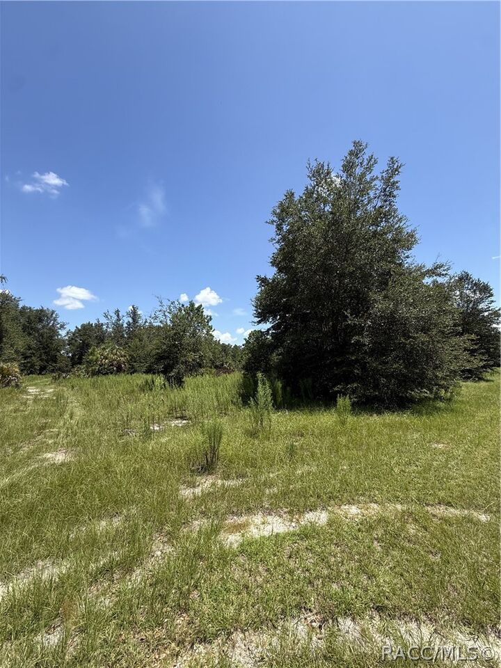Property Photo:  8375 W Lawton Lane  FL 34428 