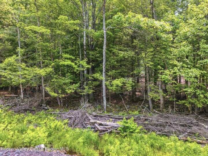 Property Photo: Tbd Boulder Brook Rd Lot B13 NY 12496