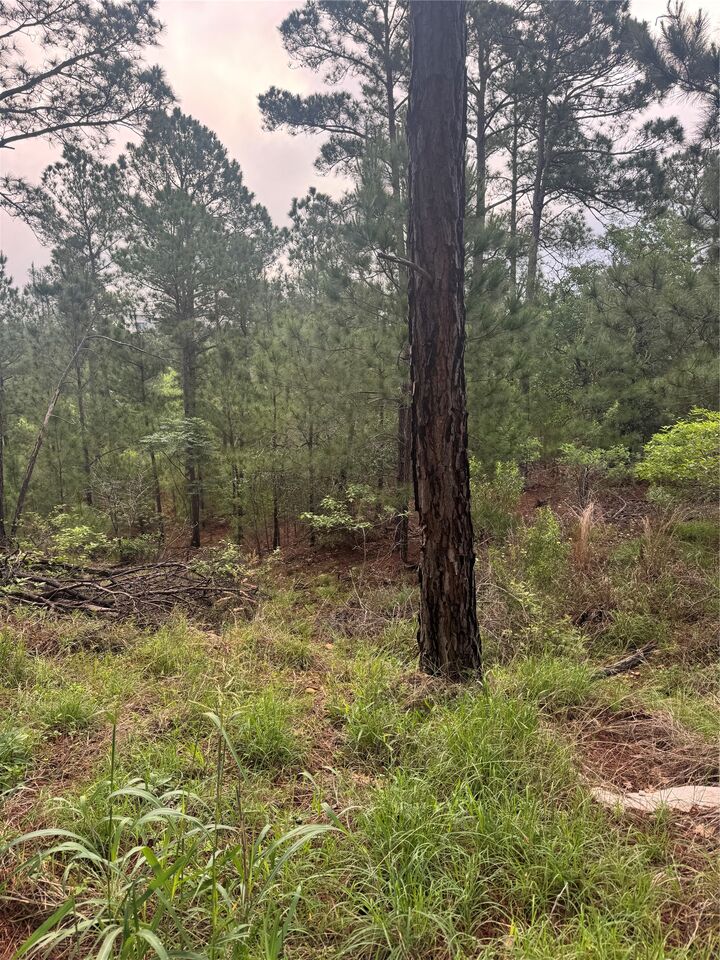 Property Photo:  Lots 1490, 1491, 1492 Haleakala  TX 78602 