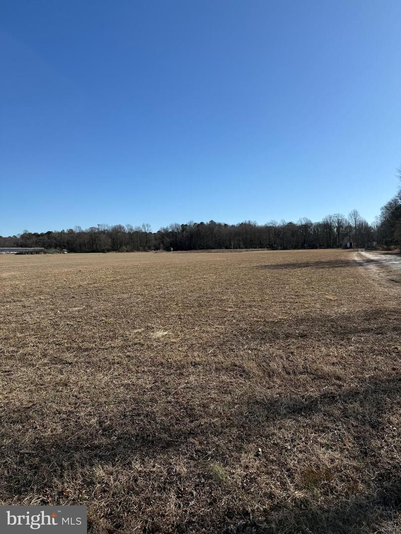 Property Photo:  12393 Taylor Mill Road Lot # 4  DE 19956 