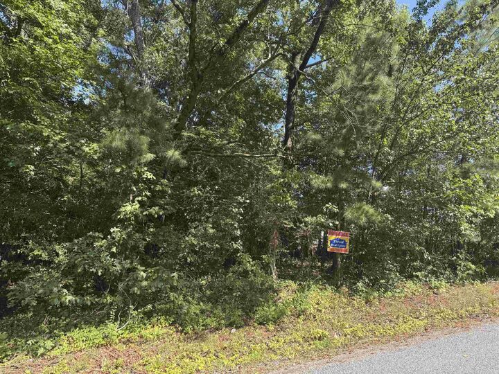 Property Photo: 00 Archview Drive AR 72206
