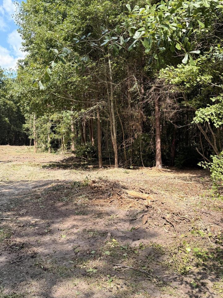 Property Photo: 1547B Pine Valley Drive SC 29045