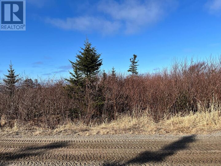 Property Photo: 106 Memorial Drive NL