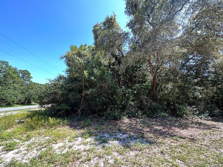 Property Photo:  2515 Oleander Ter  FL 32323 