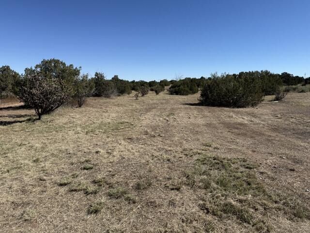 Property Photo: Tbd Indian Hills Road NM 87035