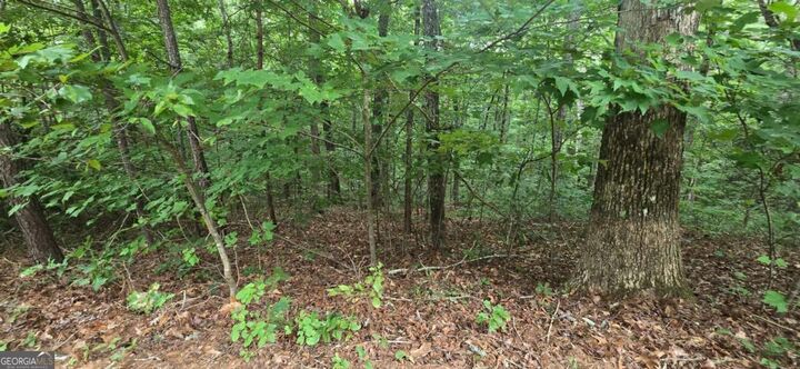Property Photo:  Lot 9 Harris Creek Drive  GA 30540 