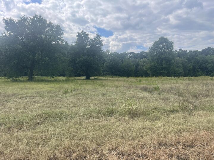 Property Photo: 5 Ac +- S Main St. MS 39465