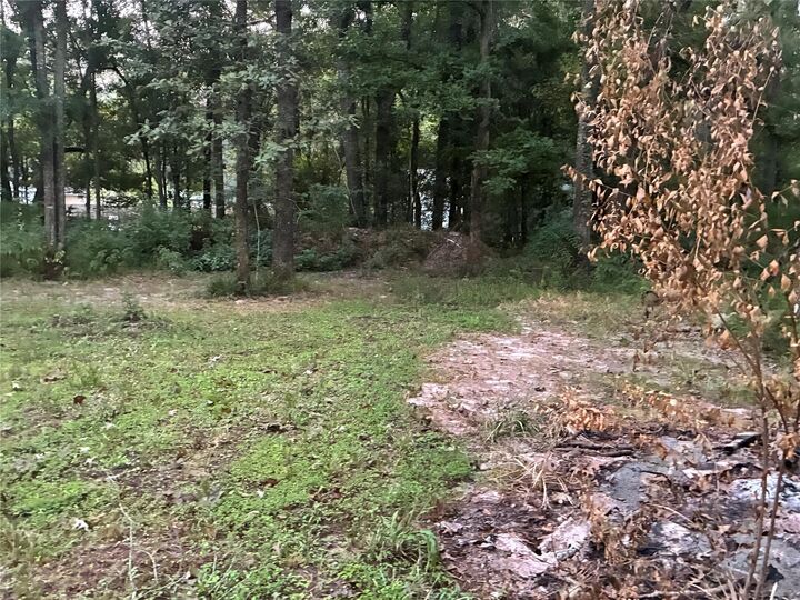 Property Photo: 0 S Oak Street TX 77372