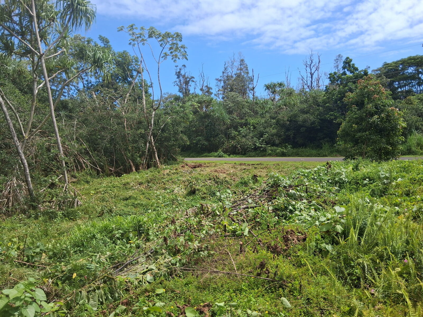 Property Photo: Moana St HI 96778