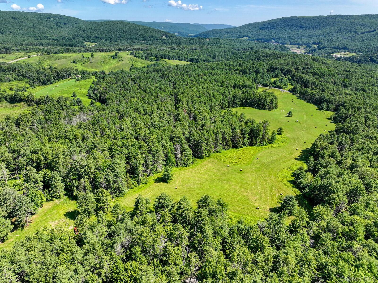 Property Photo:  379 Stryker Road  NY 12076 
