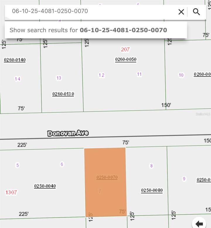 Property Photo:  408 Rustic Road  FL 32189 