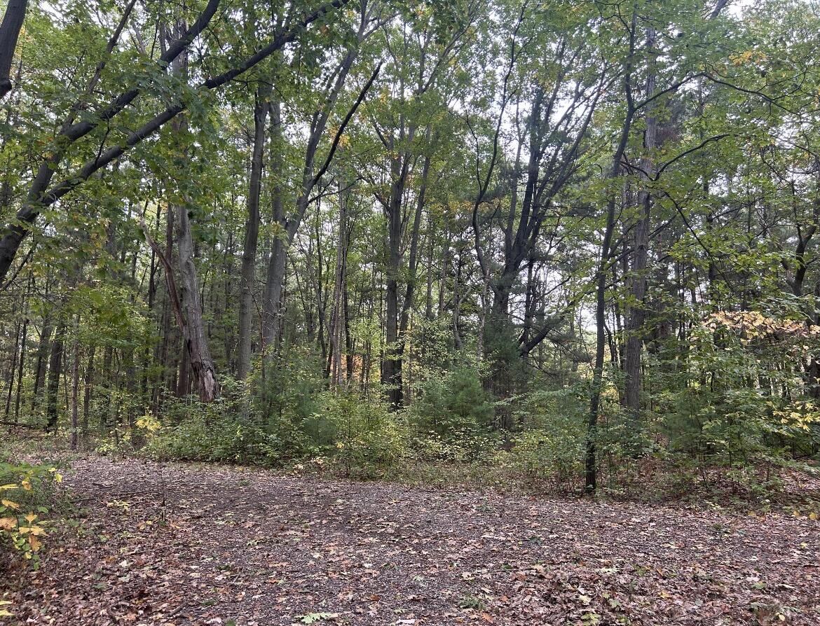 Property Photo:  4051 Highview Path  MI 49038 
