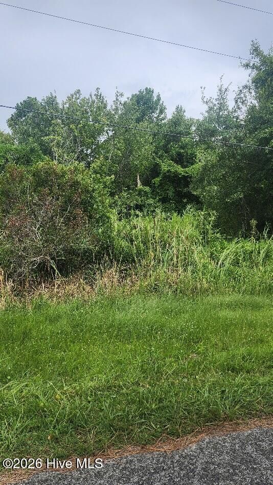 Property Photo:  149 Harris Street  NC 28557 
