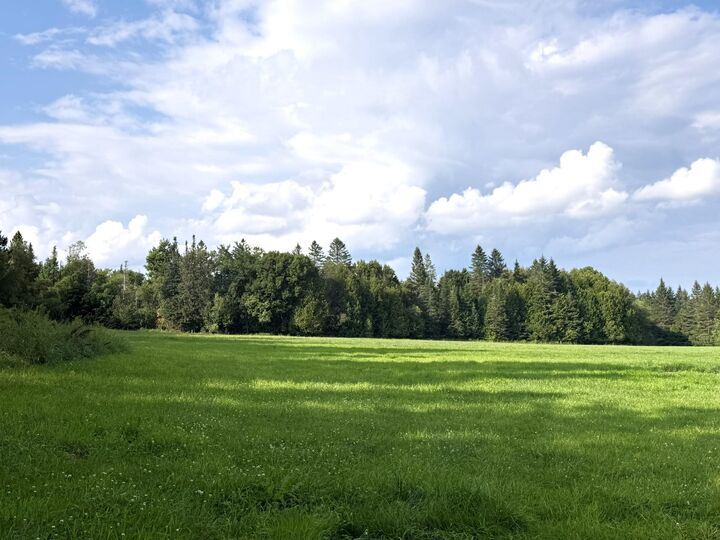 Property Photo:  0 Cobb School Road  VT 05843 