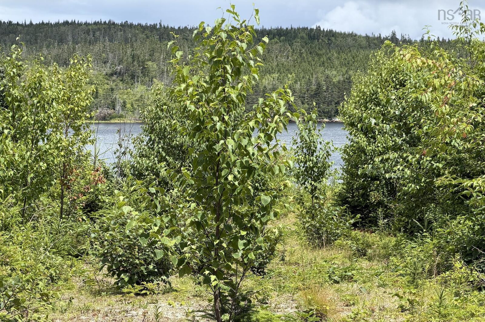 Property Photo:  Lot 09-2 West Liscomb Point Road  NS B0J 2A0 