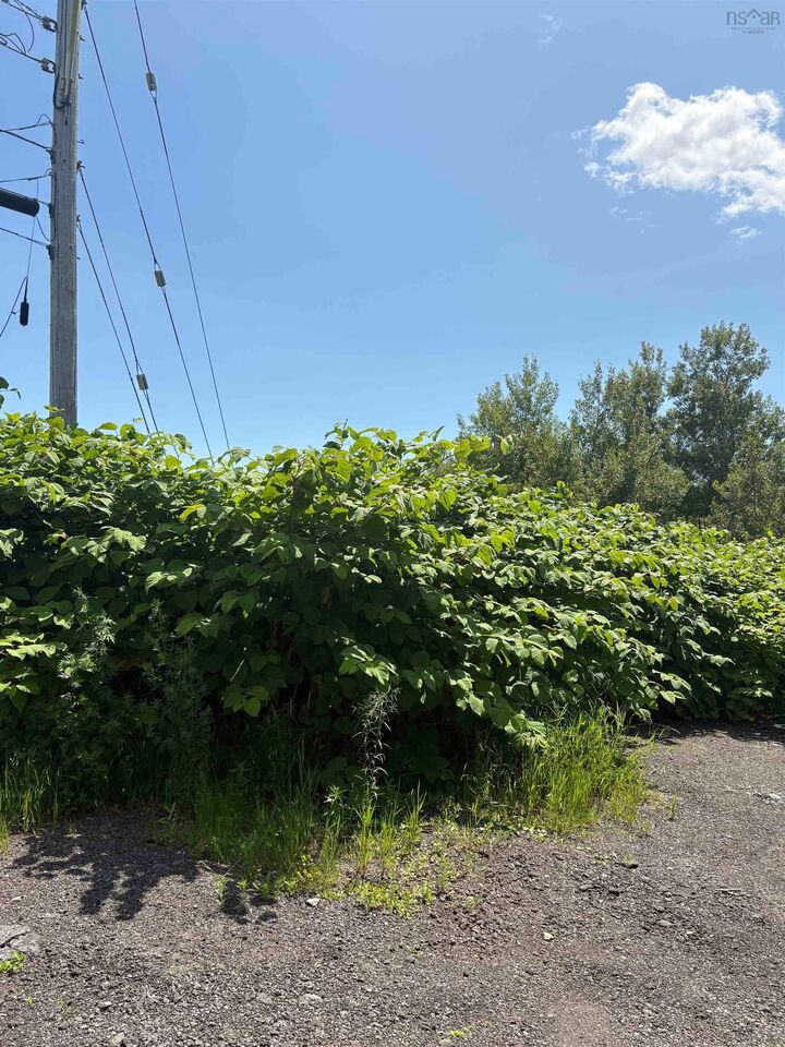 Property Photo:  0 Lorway Avenue  NS B1E 1E4 