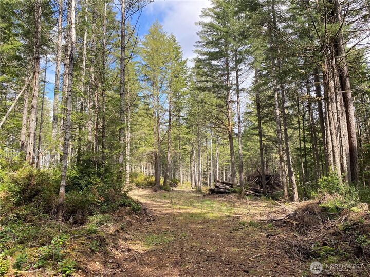Property Photo: 0 Tr4 E Mason Lake Road WA 98546