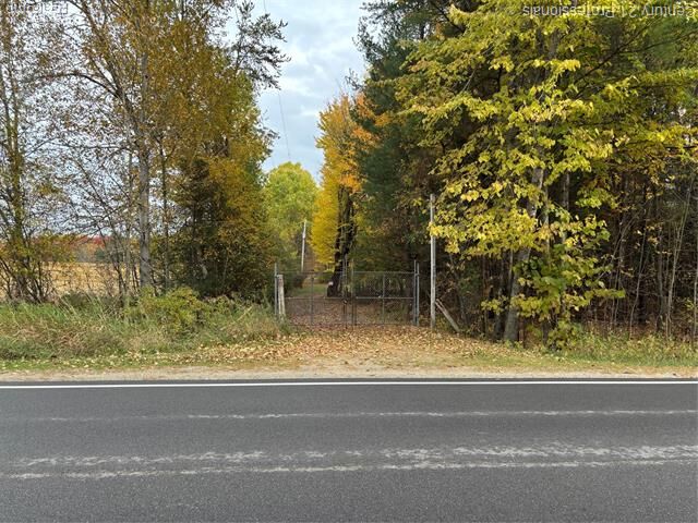 Property Photo: 780 Wiltse Road MI 48635