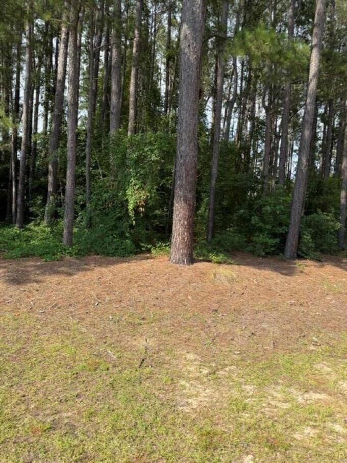 Property Photo:  2140 Watersong Run  SC 29150 