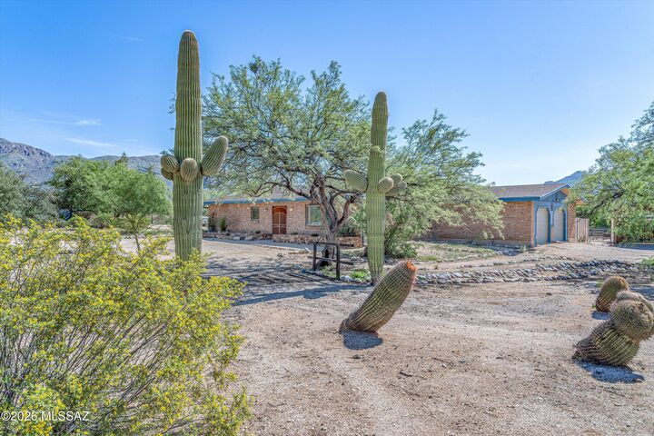 Property Photo:  4200 N Gunpoint Drive  AZ 85749 