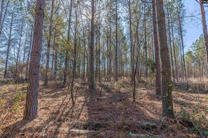Property Photo:  Lot 3 Fairview 008200-07-010  SC 29006 