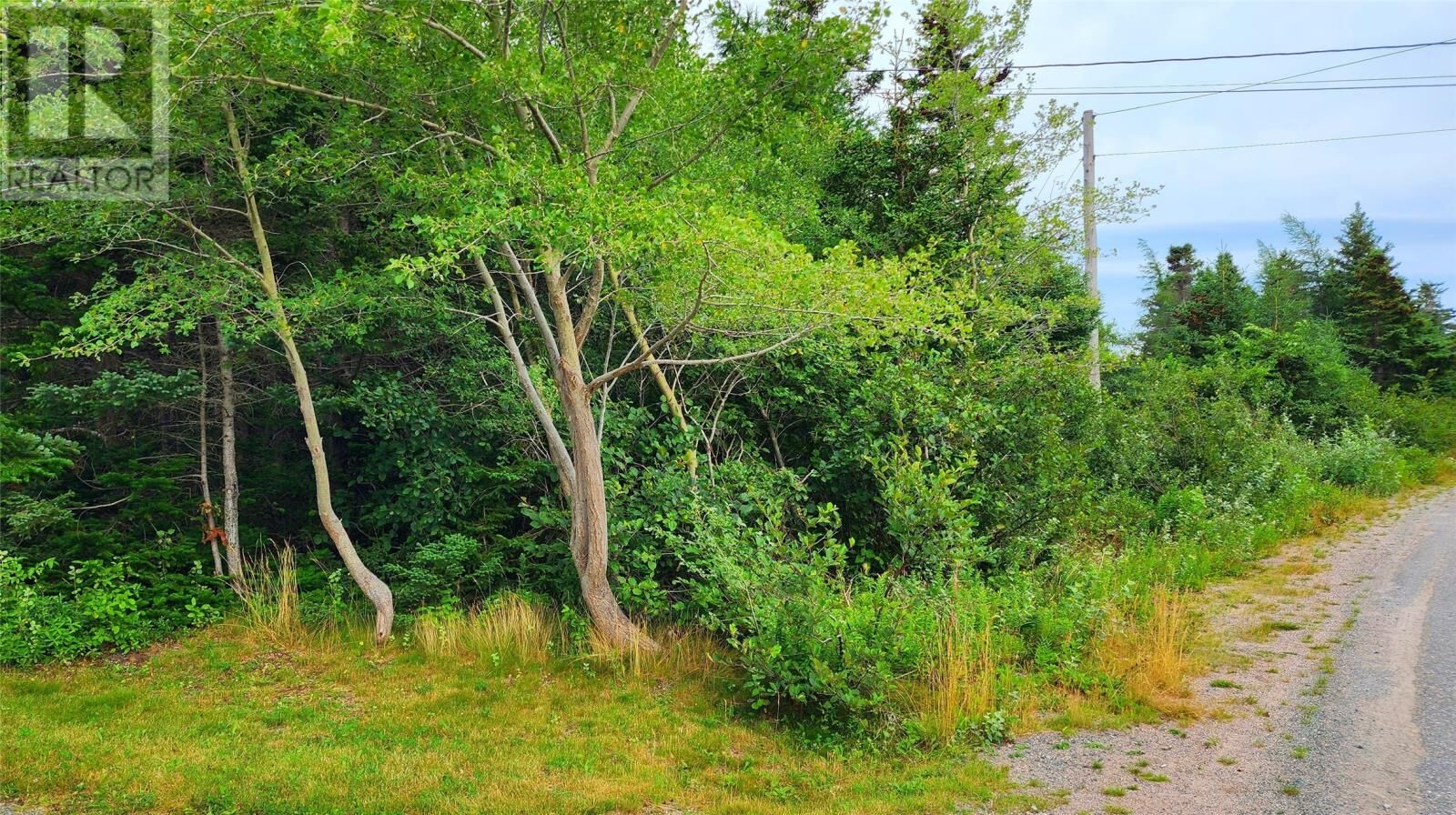 Property Photo:  28 Duffs Road  NL A0A 2R0 