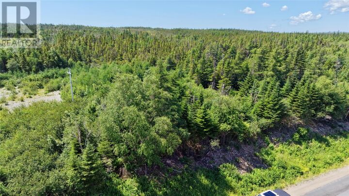 Property Photo:  80 Main Road  NL A0E 2B0 