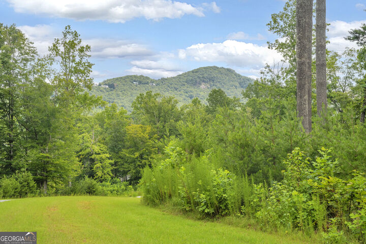 Property Photo:  Lot 73 Leisure Mountain Trail  GA 30571 