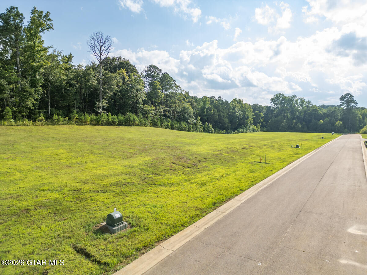 Property Photo: 115 Huxley Drive MS 39759
