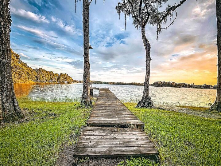 Property Photo:  14710 Coloma Lane  FL 33556 