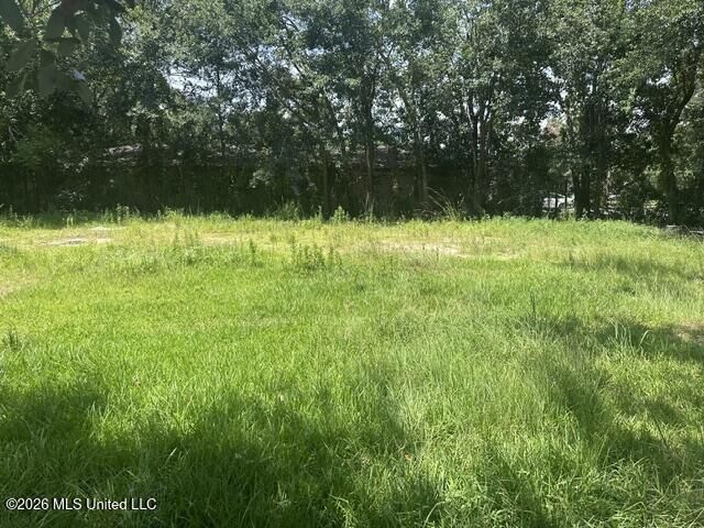 Property Photo: 15162 Tyler Street MS 39501
