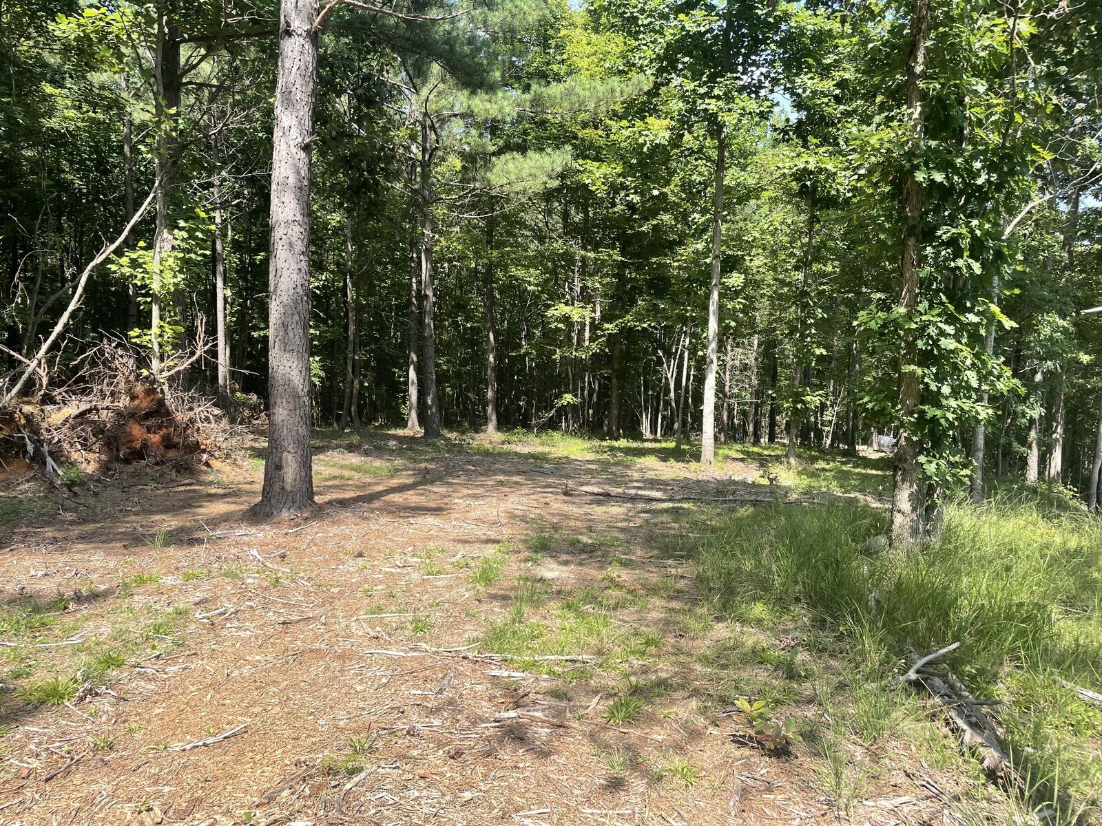 Property Photo:  0 Tall Woods Ln  TN 38585 