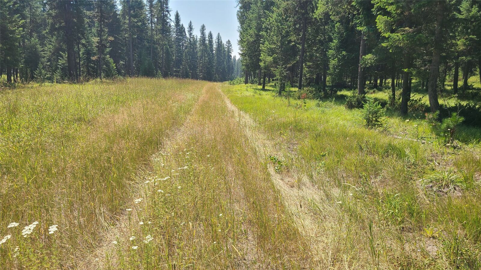Property Photo:  128 Whitefish Forest Loop  MT 59937 