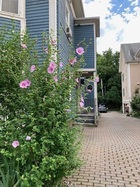 Property Photo: 28 Mt. Auburn St. 1 MA 02138