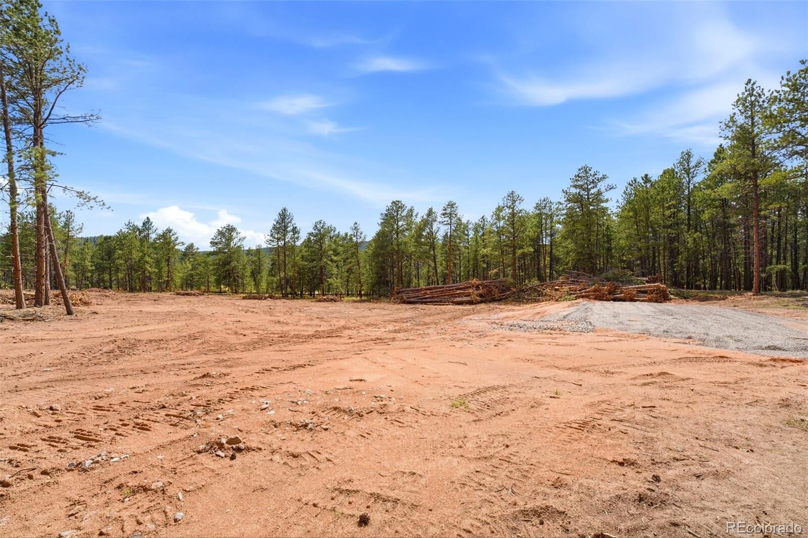 Property Photo:  205 Sourdough Road  CO 80863 