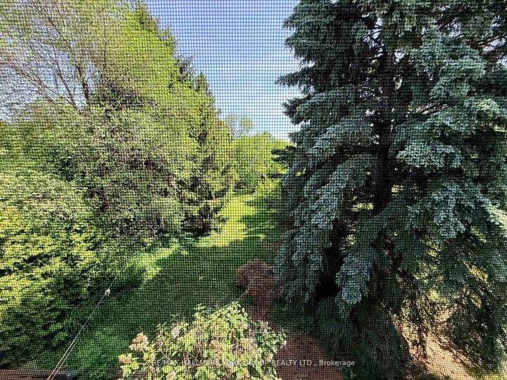 Property Photo:  75 Spruce Avenue  ON L4C 6V9 