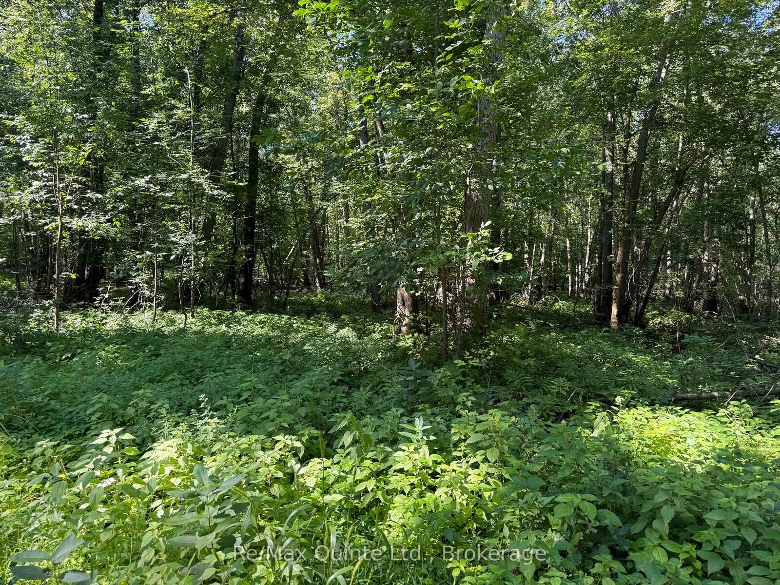 Property Photo:  0 Trillium Lane  ON K0K 3J0 