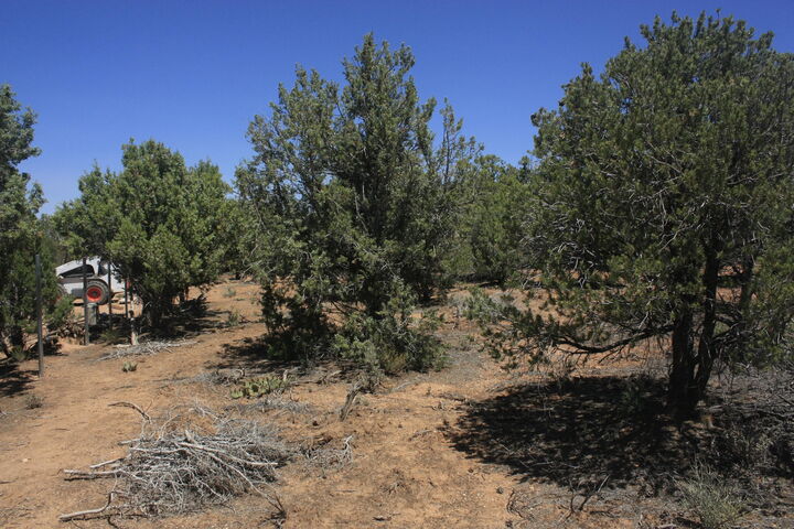 Property Photo: 17729 W Harmony Ln UT 84720