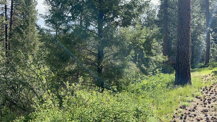 Property Photo:  8 Klondike Road  ID 83716 