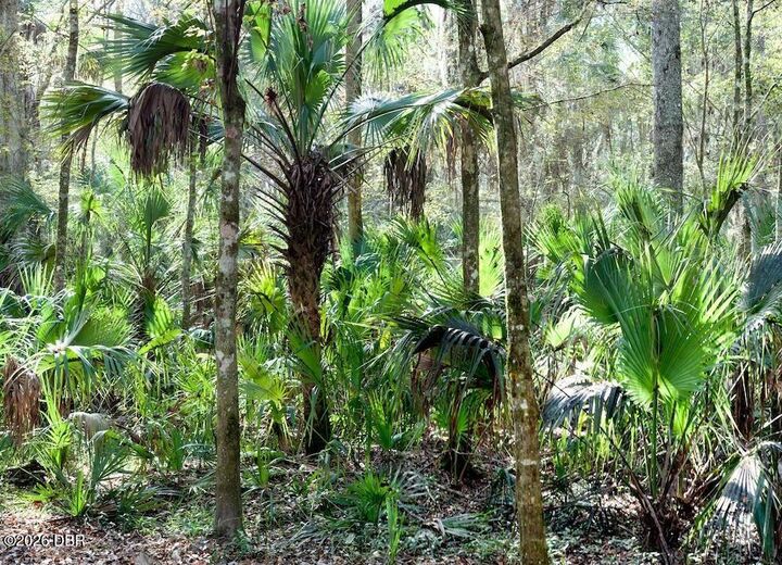 Property Photo:  980 Arroyo Parkway  FL 32174 