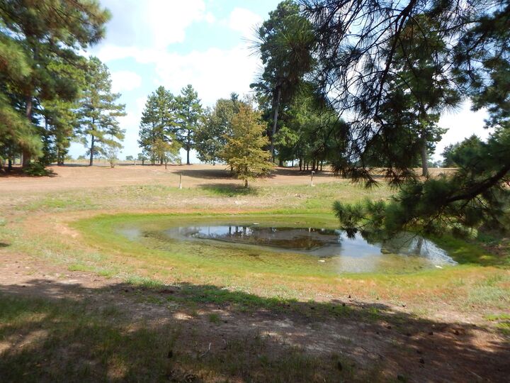 Property Photo:  5000 Glenwood Dr.  TX 75645 