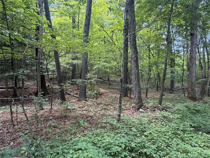 Property Photo:  0 Laurie Lane  NY 12413 