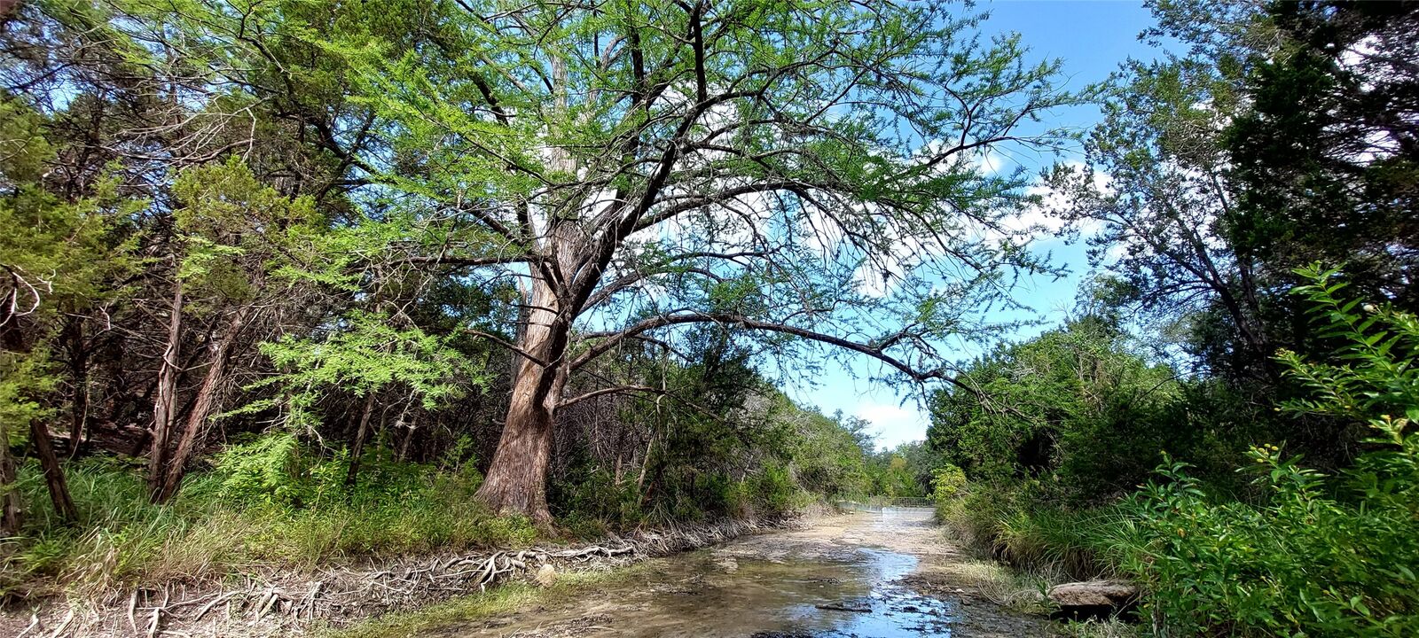 Property Photo: 00000 Brinkley Drive TX 78676