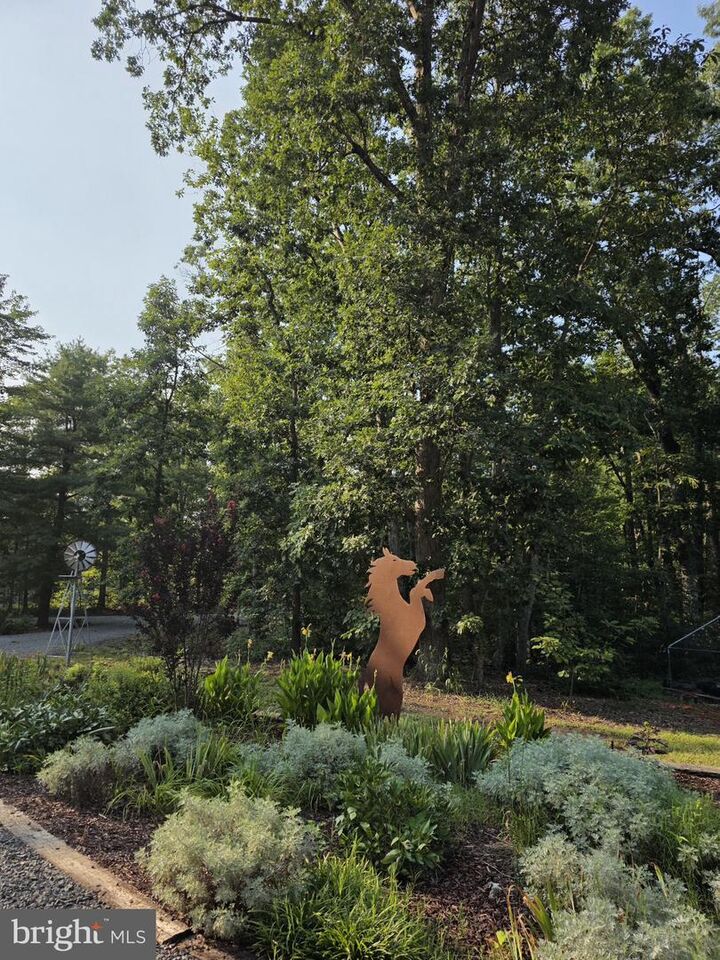 Property Photo:  5099 Courtneys Corner Road  VA 22742 