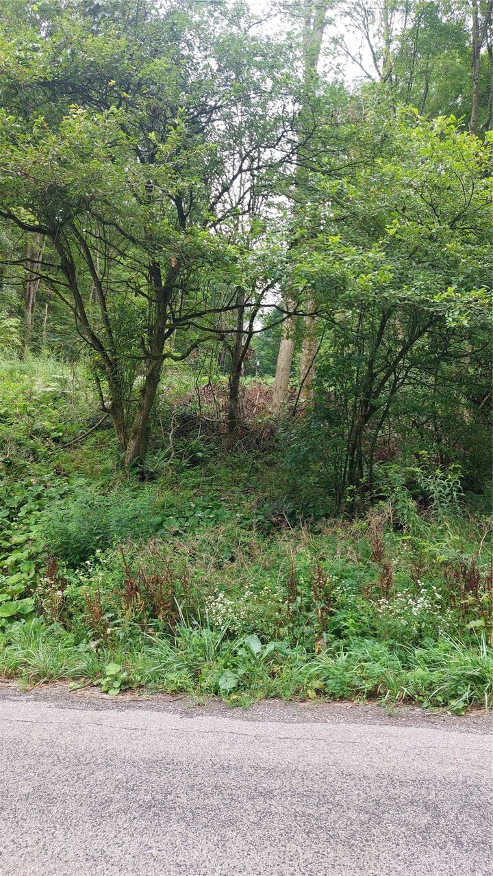 Property Photo: 00 Lake Creek Road PA 16314