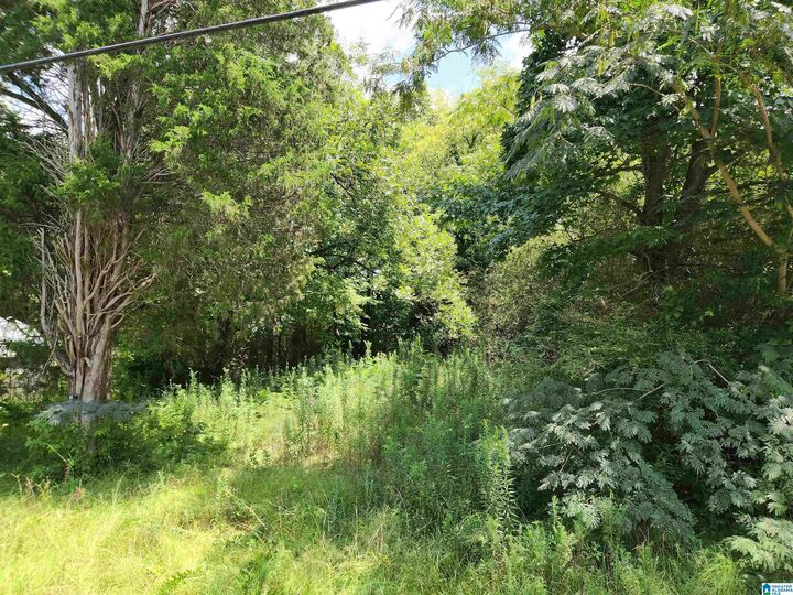 Property Photo: 307 2nd Avenue . AL 35118